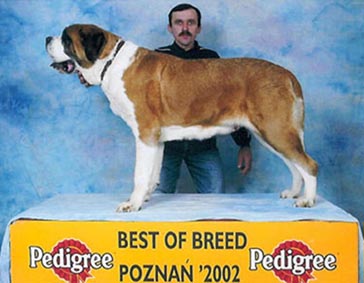 abazja