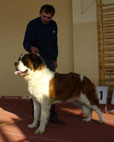 LANDA